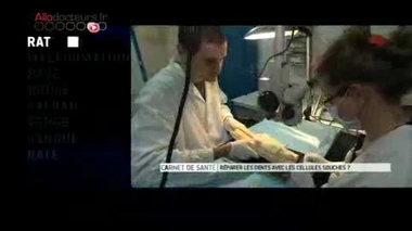 Zapping du 15/11/2013