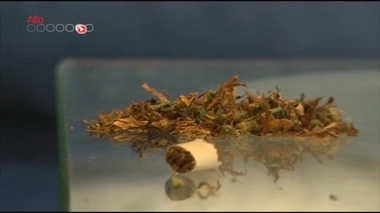 Le cannabis thérapeutique autorisé pour un patient - Reportage du 20 novembre 2013