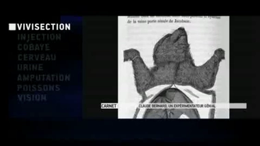 Zapping du 22/11/2013