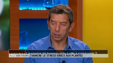 Plantes anti-stress : l'essence de lavande aide-t-elle à s'endormir ?