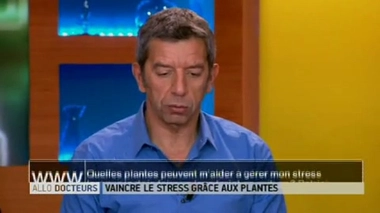 Plantes anti-stress : quelles plantes prendre contre le mal des transports ?