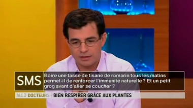 Des plantes pour mieux respirer : les bienfaits du grog ?