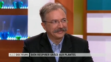 Des plantes pour mieux respirer : les bienfaits des huiles essentielles ?