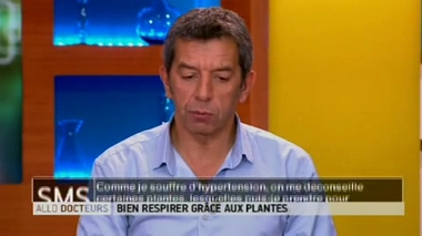 Des plantes pour mieux respirer : les plantes à éviter en cas d'hypertension ?