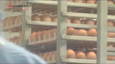 De la viande de cheval impropre à la consommation mais pas dangereuse (Vidéo)