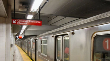 Non-voyants : la leçon de courage d'un chien pour son maître aveugle