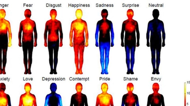 La cartographie des émotions
