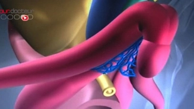 Cinq idées reçues sur le clitoris