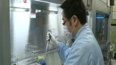 ♪ ♫ Une souris verte ♪ ♫ au stade embryonnaire ♪ ♫ injectez-lui des cellules plongées dans l'acide ♪ ♫ et montrez-là à ces messieurs...