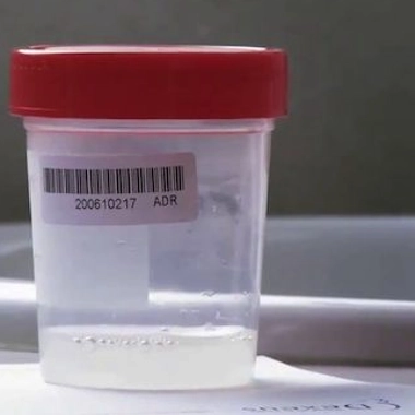 La maison Dorcel fournit ses flms gratuitement à plusieurs hôpitaux.