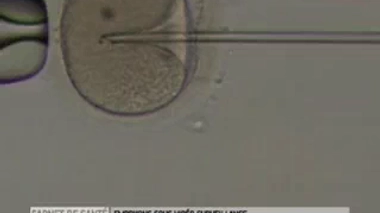 Embryons sous vidéo-surveillance pour optimiser les chances de fécondation in vitro