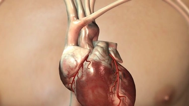 1968 : Le père Boulogne, un cœur pour la science