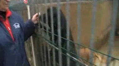 Maisons de retraite : quelle place pour les animaux de compagnie ?