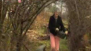 Coups, plaies, contusions : et si on essayait les plantes !