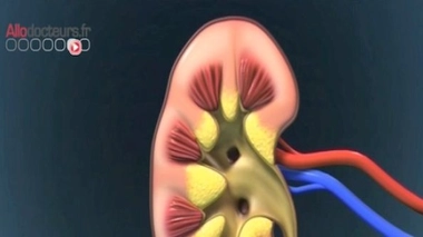 9ème édition de la Semaine nationale du rein 2014 - Source : FNAIR