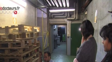 Lombalgies : principale cause d'incapacité dans le monde