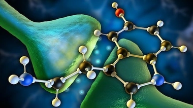 © Andrea Danti - Fotolia.com