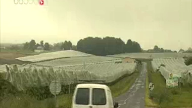 Des pesticides dans les cheveux de nos enfants