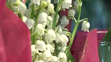 Les botanistes le connaissent sous le nom savant de ''Convallaria majalis''. Les Anglo-saxons l'affublent de celui, charmant, de ''lys des vallées''.