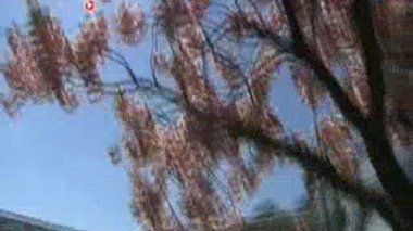 Quand l'excès de cuisson rend les aliments toxiques