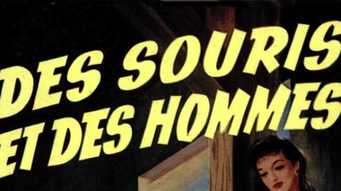 Les hommes ne laissent pas les souris de laboratoire indifférentes...