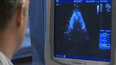 Mieux détecter les malformations cardiaques chez le foetus