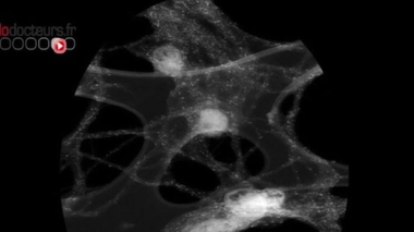 Nanomatériaux : renforcer la réglementation ''sans attendre''