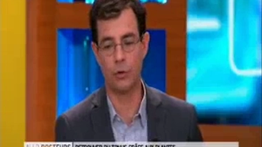 Retrouver du tonus grâce aux plantes : les contre-indications du ginseng ?