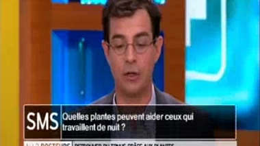 Quelles plantes peuvent aider ceux qui travaillent de nuit ?