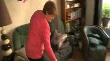 Levure de riz rouge, attention danger !