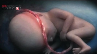 La transmission de cellules du fœtus à la mère est appelée microchimérisme fœtal (Image d'illustration)