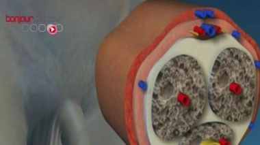 Quoi de neuf dans l'éjaculation prématurée ?