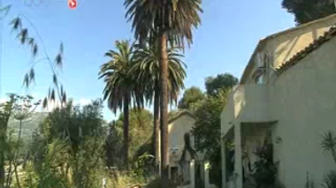 Le moustique tigre est désormais présent dans 18 départements français.