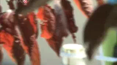 Cancer : une consultation pour parler de sexualité