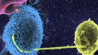 Des virus de maladies infectieuses dans des fioles abandonnées