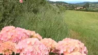 La sélection littéraire de l'été 2014 #8