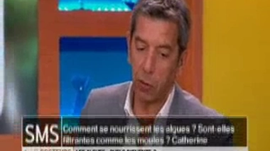 Comment se nourrissent les algues ?