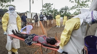 Ebola : MSF récompensée par le prestigieux prix Lasker