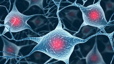 L'autisme, un excès de synapses en cause ?