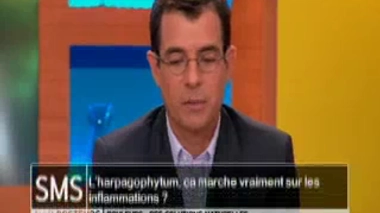 L'harpagophytum est-il efficace sur les inflammations ?