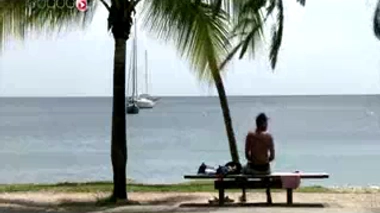 Chikungunya : après la fièvre, les douleurs chroniques