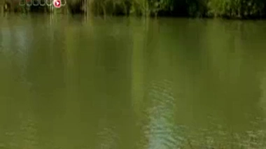 Maladie de Lyme : des tests diagnostiques décriés