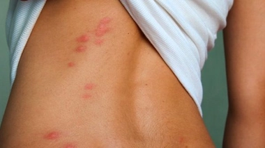 Article rédigé le 26/09/2014.