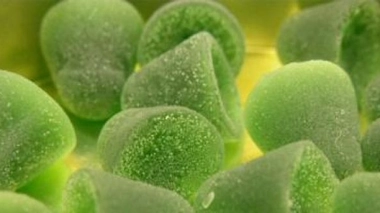 Des médicaments qui n'en seront plus... Photo : Pastilles Valda® (DR)