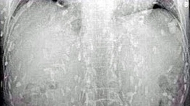 Poisson cru ? Qui l'a cru ? (cliché issu de l'article du Daily Mail)