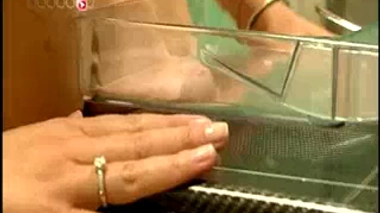 Cancer du sein : élargir le dépistage aux femmes jeunes à risque