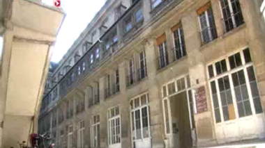 Les îlots de Langerhans, une lueur d'espoir pour les diabétiques ?