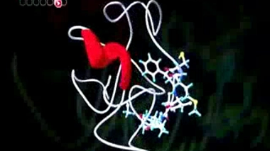 Vaccin contre le sida : le pari d'une petite entreprise française