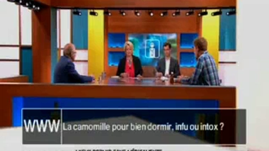 La camomille est-elle efficace pour bien dormir ?