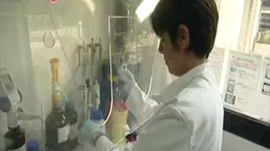 Chikungunya : quatre cas autochtones à Montpellier